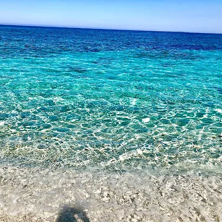 Civico 31 * Terralba