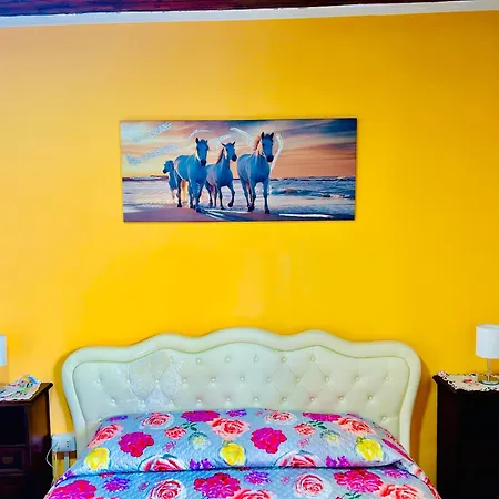 Civico 31 * Terralba